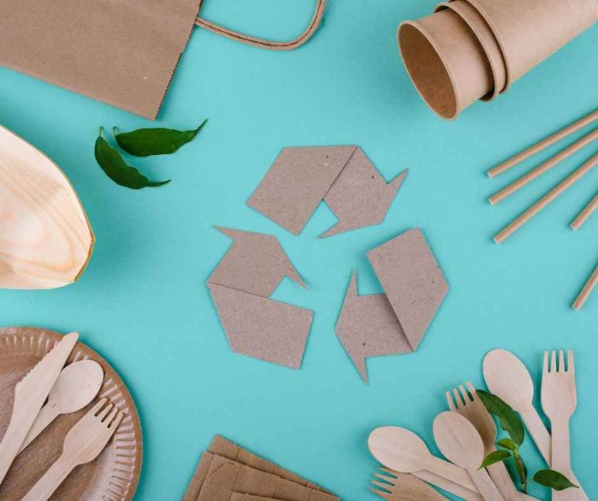 Tortoba Packaging: Kraft Tray Solutions for a Sustainable Future - Tortoba
